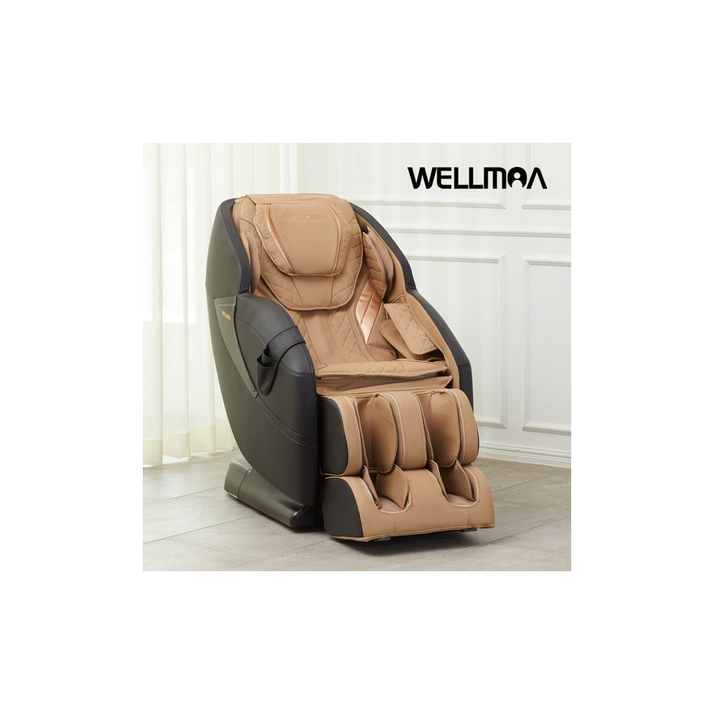 에비스 프리미엄 안마의자 HCW